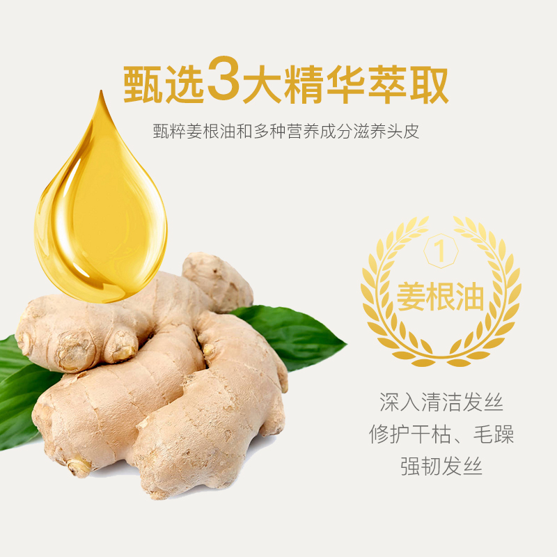 WQMD索芙特生姜精油洗发水 400g