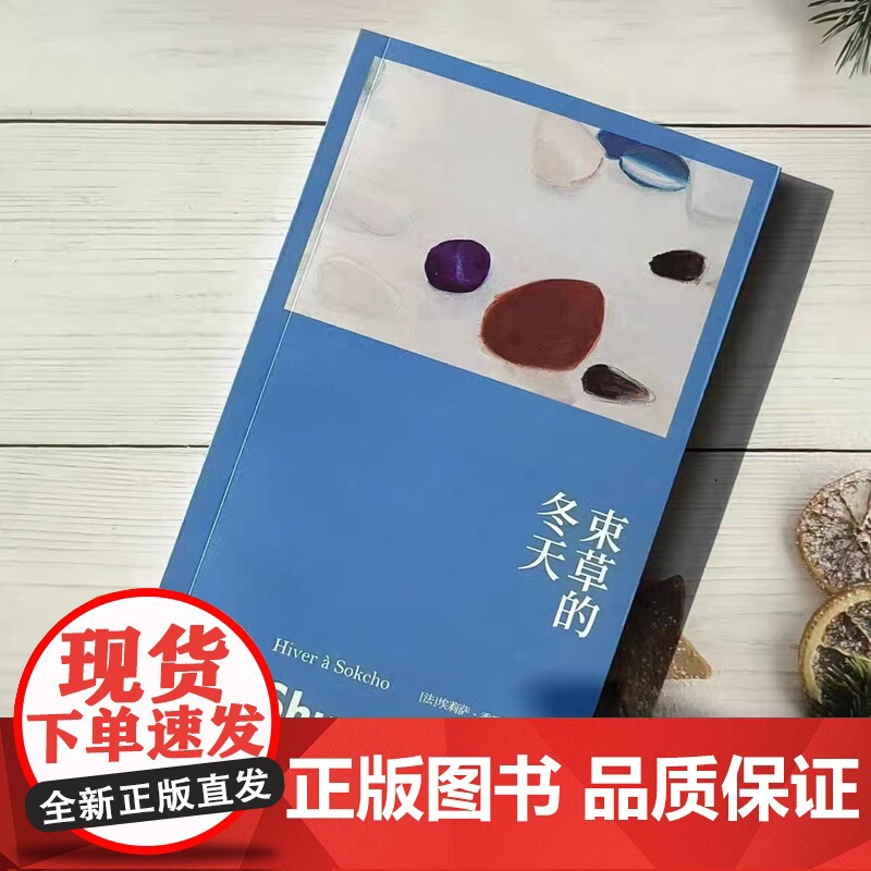束草的冬天 埃莉萨秀雅迪萨潘名著瓦尔泽奖主上海译文出版社群岛图书女性主义文学中篇小说 另著有弗拉迪沃斯托克马戏团/弹珠游高清大图