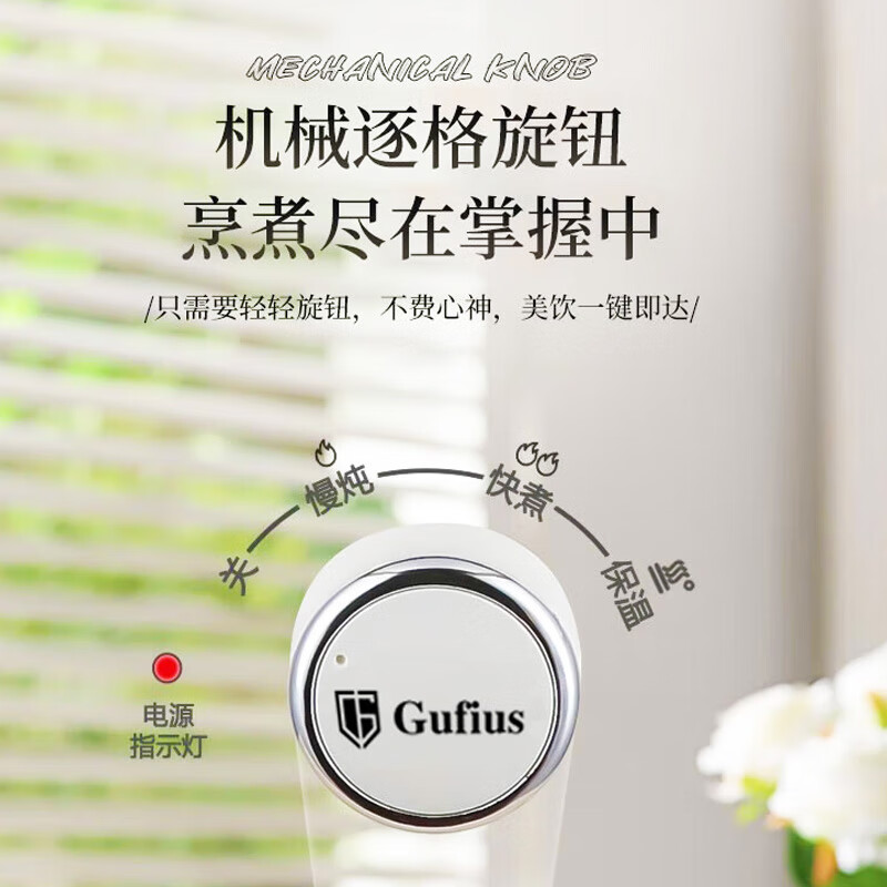 古菲斯养生杯GFYB-1105高清大图
