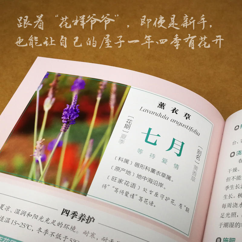 [醉染正版]新手四季养花 养花书籍种花大全植物书籍入门花艺书园艺种植花卉盆景制作教程入门图书家庭花书盆栽园林图鉴实用栽培高清大图