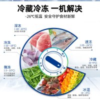星星(XINGX) 518升商用大冷柜 家商两用 大冷冻力冰柜 断电保护 冷藏冷冻转换柜 BD/BC-528GE