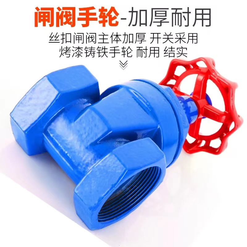 伟鹏双兴 蓝色丝扣软密封闸阀 DN80 台高清大图