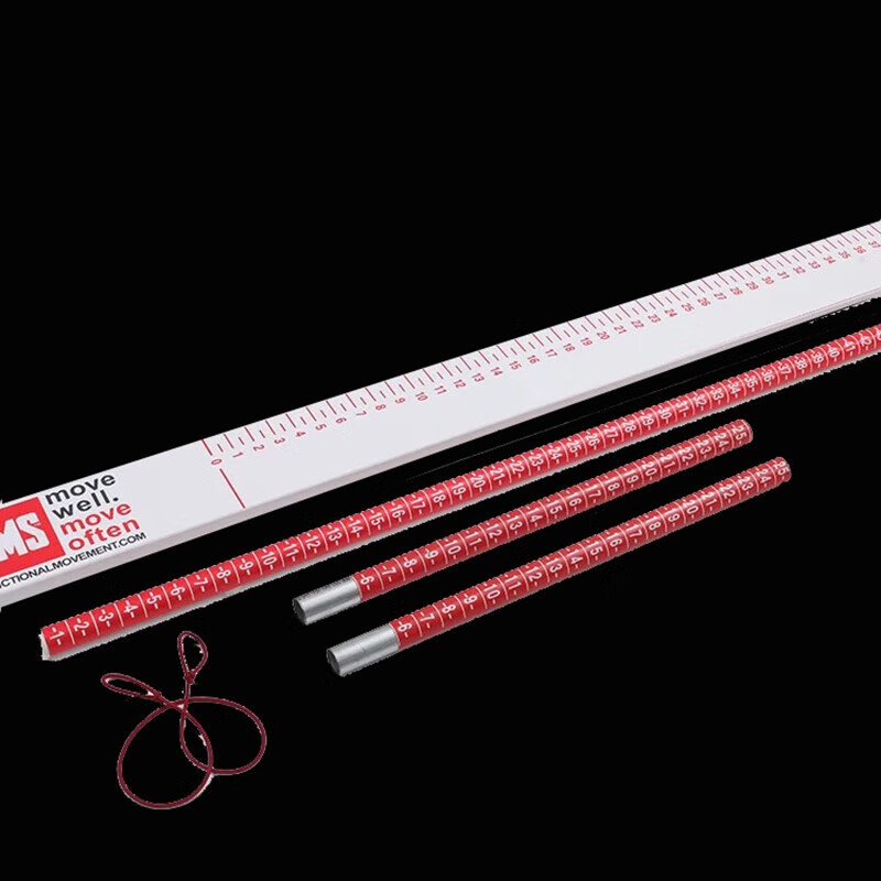 猎邺 FMS功能性运动测试套件动作筛查体能训练动作评估套件1套 LY010高清大图