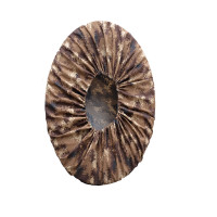 轮胎罩27×12.00-14DZ轮胎罩 正品超长质保