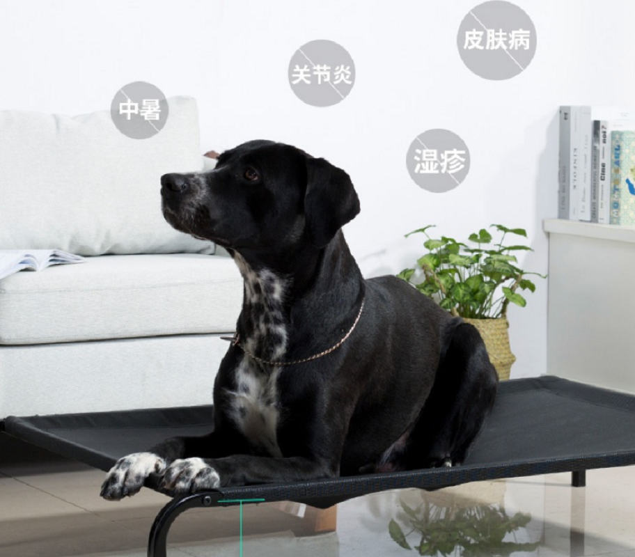 狗狗行军床特价沙发床宠物家具床铁艺狗床大型犬狗窝狗床四季通用高清大图