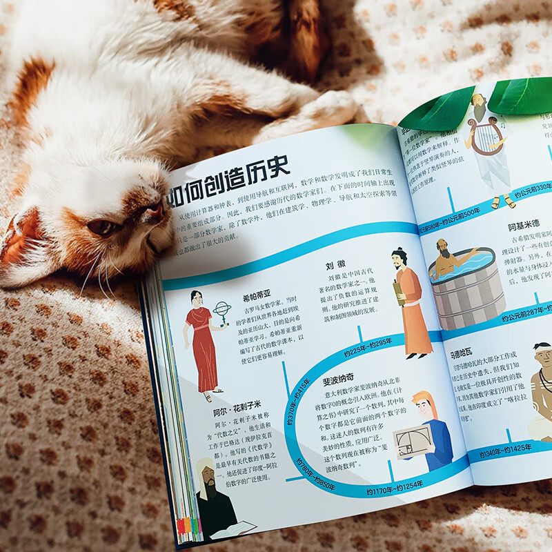 [正版]DK了不起的数学思维高清大图