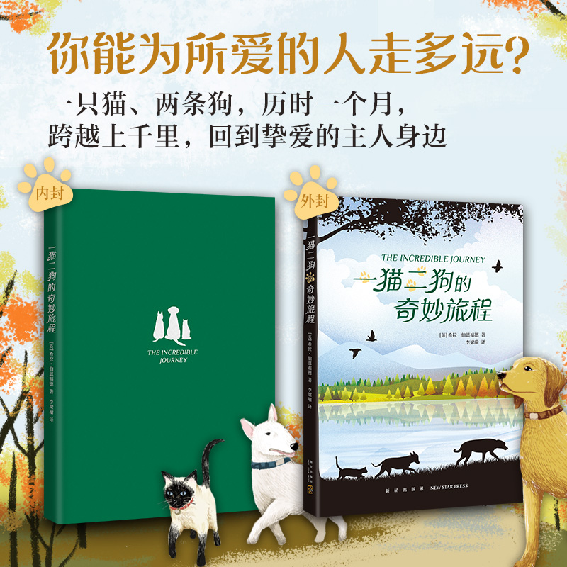 醉染图书一猫二狗的奇妙旅程9787513346504高清大图