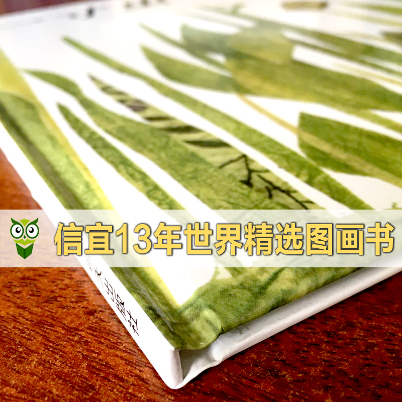 [友一个正版]一寸虫绘本4岁儿童启蒙早教书籍精装李欧李奥尼信谊图画书幼儿园绘本3-6岁宝宝睡前故事书籍亲子共读绘本2-高清大图