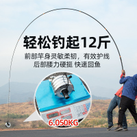 佳钓尼伏魔霸道轻量版19调钓鱼竿暴力大物竿超硬手杆台钓竿