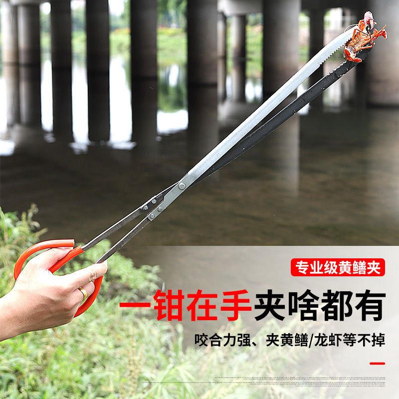 不锈钢黄鳝夹子捕泥鳅鳝鱼钳防滑抓龙虾螃蟹多功能控鱼器赶海神器 加厚镀锌款54cm黄鳝夹