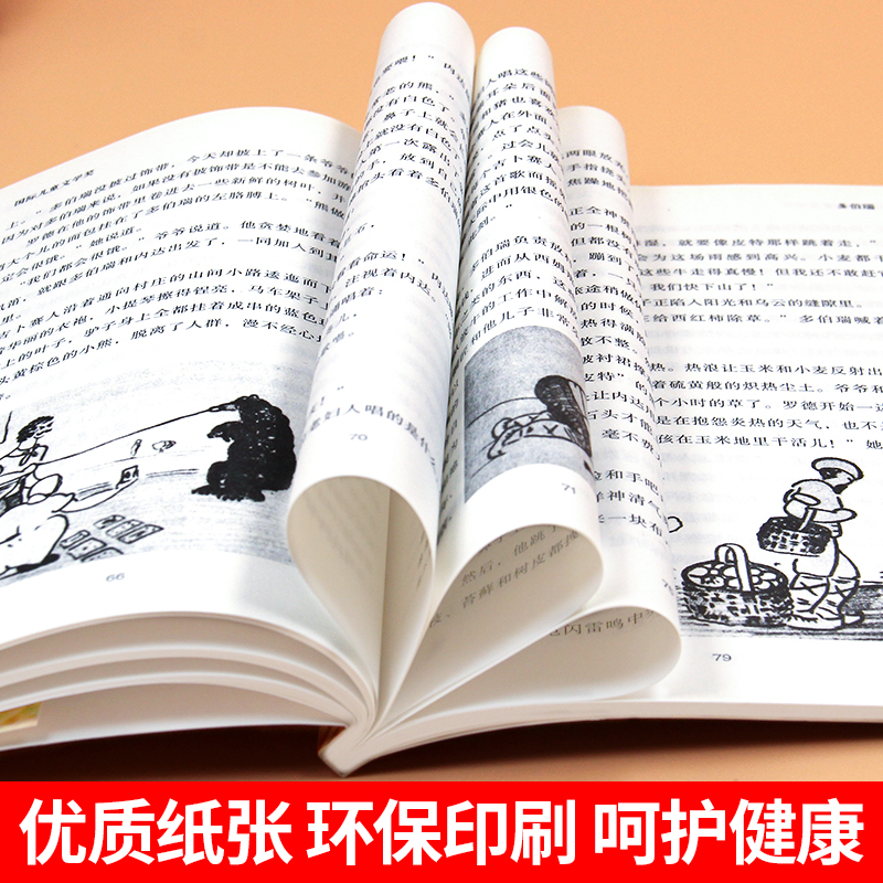 [正版]纽伯瑞国际大奖小说书系列 多伯瑞儿童文学故事书9-12-15岁四五六年级中小学生课外书籍青少年阅读物少儿励志畅高清大图