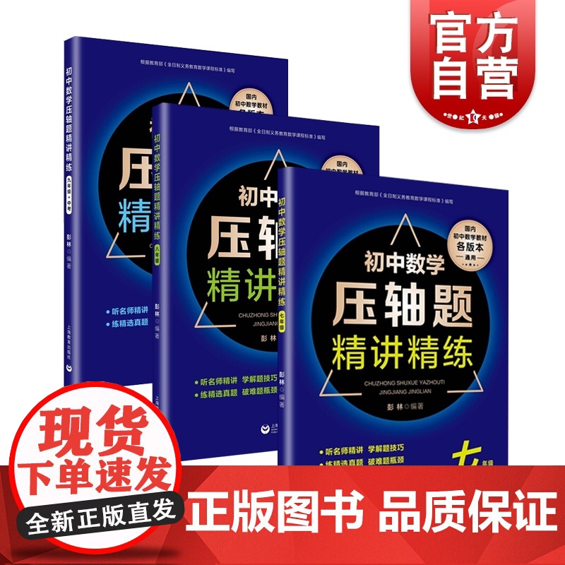 初中数学压轴题精讲精练系列套装 七年级 八年级 九年级+中考高清大图