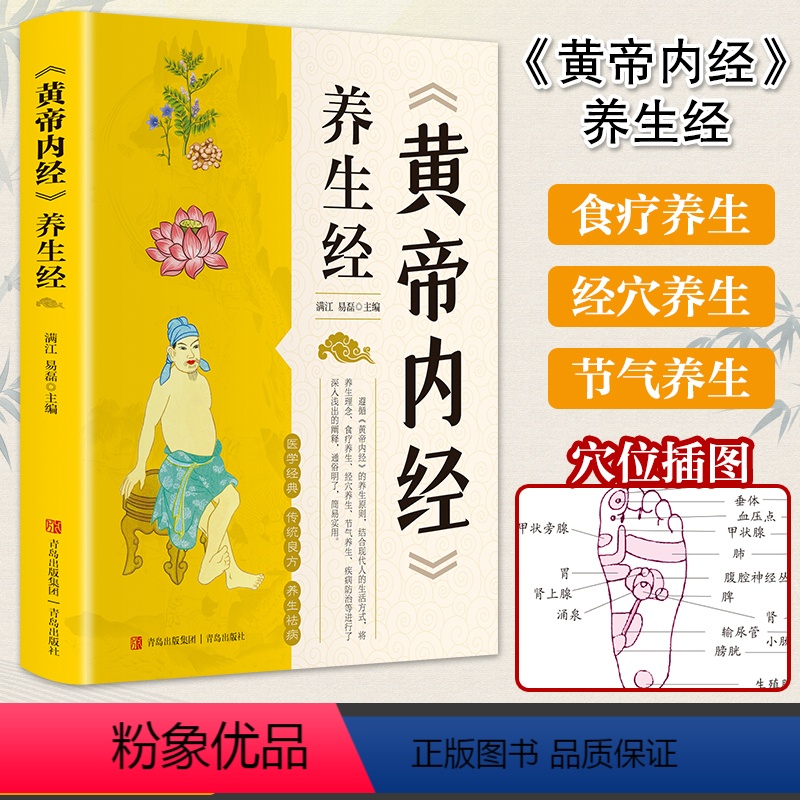 [正版]黄帝内经 养生经 中医养生书籍大全基础理论健康养生类皇帝内经十二经脉揭秘与应用四季养生法全书白话文版人体经络穴位