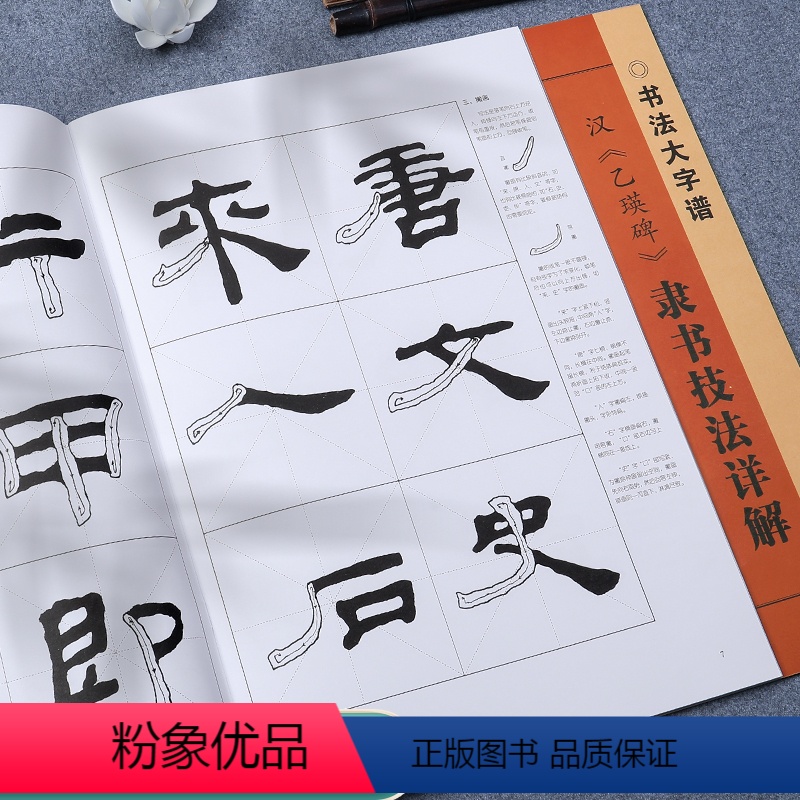 汉《乙瑛碑》 【正版】曹全碑隶书技法详解练字帖初学者入门基础笔画偏旁部首字形结构毛笔书法临摹字帖乙瑛碑张迁碑软笔字帖
