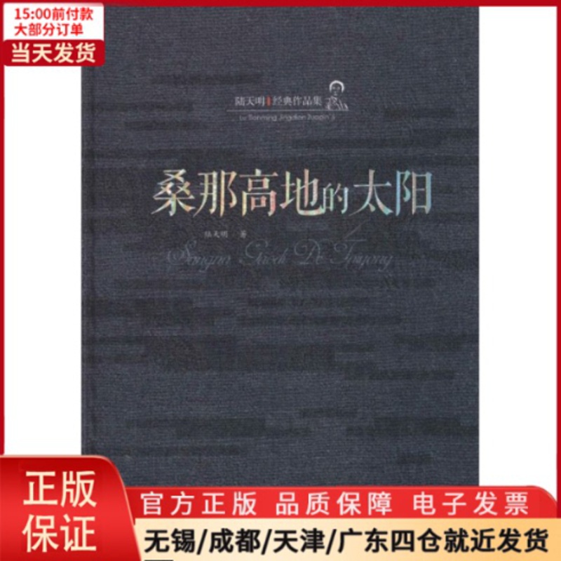 [正版]全新 桑那高地的太阳 小说/职场小说 9787539653501高清大图