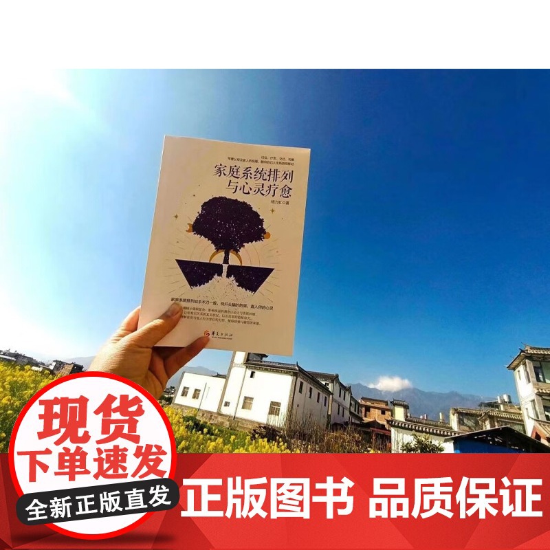 家庭系统排列与心灵疗愈 杨力虹 著 心理学高清大图