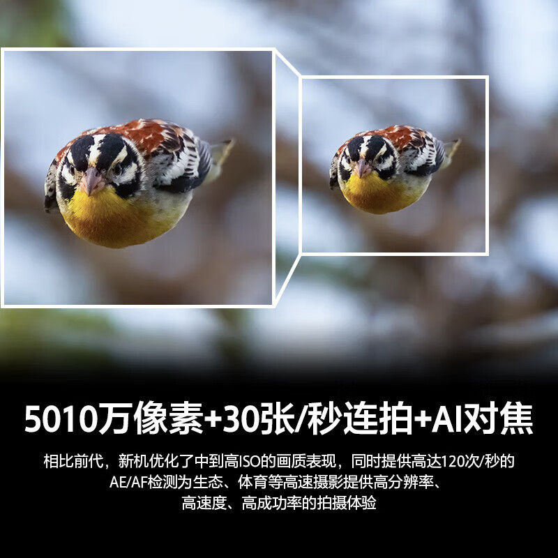 索尼(SONY)Alpha 1 II全画幅微单™旗舰 打鸟相机 A1M2+大三元二代镜头套装 标配高清大图
