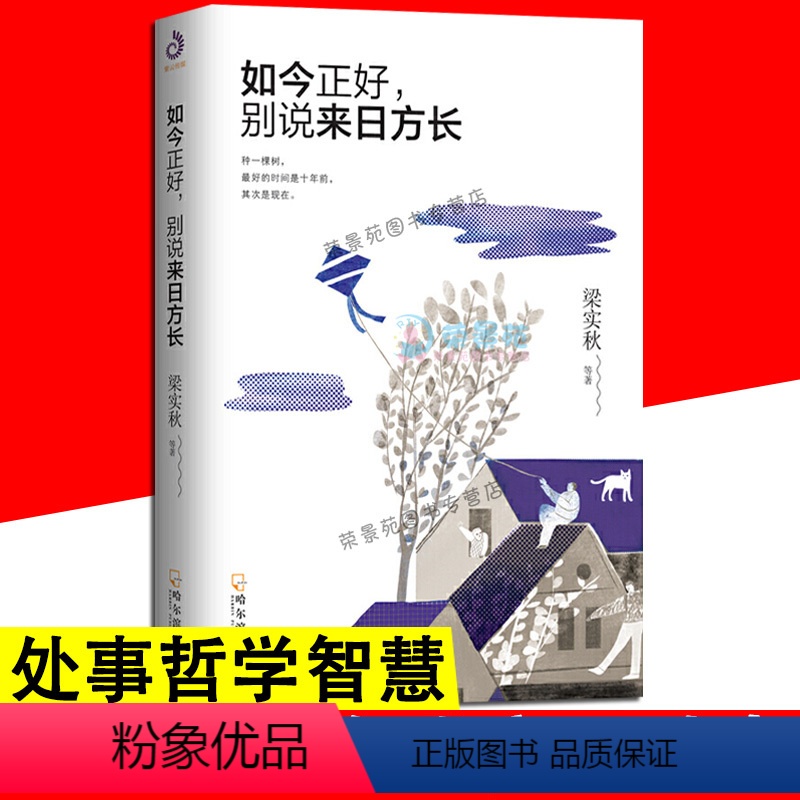 [正版]如今正好别说来日方长 人生即修行 且行且珍惜 人生没什么不可放下人生智慧 禅心人生生活经典图人生哲学书籍高清大图