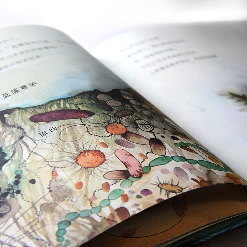 我的微生物朋友[全4册] [正版]我的微生物朋友系列 共4册 土壤里的王国 珊瑚的世界 真菌地球 海洋的秘密 0-3-6高清大图