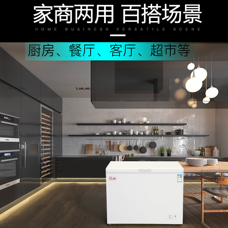 白雪(Baixue)BD/C-267DS 267升冷藏冷冻转换型冰柜 家用商用大冷柜 节能大冰柜 顶开门 家