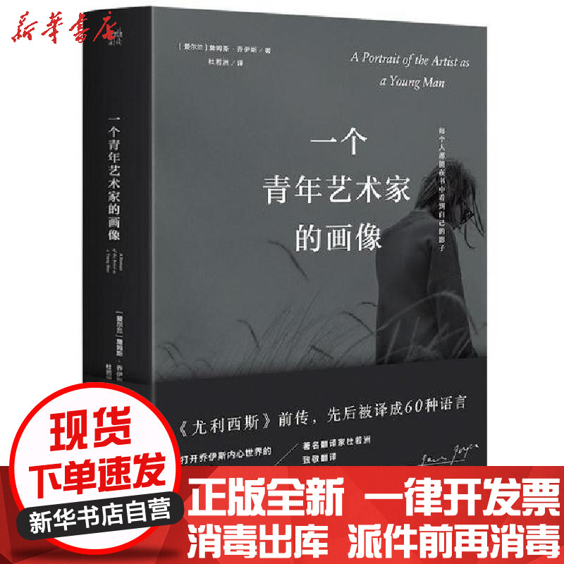 新华书店 正版一个青年艺术家的画像杜若洲天地出版社外国小说报价 参数 图片 视频 怎么样 问答 苏宁易购