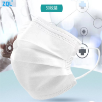 ZQL一次性ES卫生口罩50只含熔喷布成人口罩白色非无菌型口罩