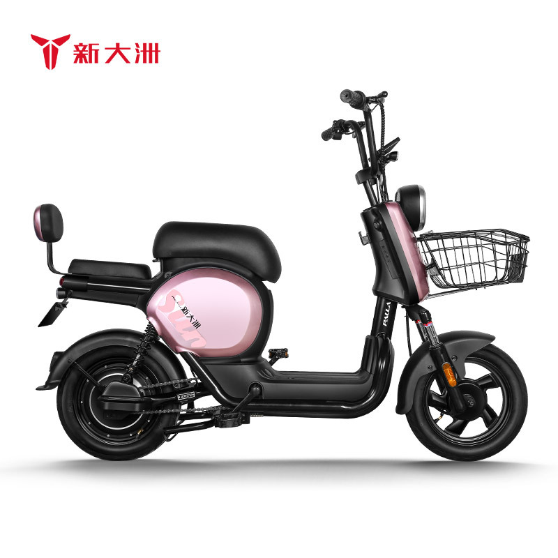新大洲PALLA电动车 新国标48V24AH锂电池续航<80km电瓶车代步车电动自行车 K9(大客户专拍)