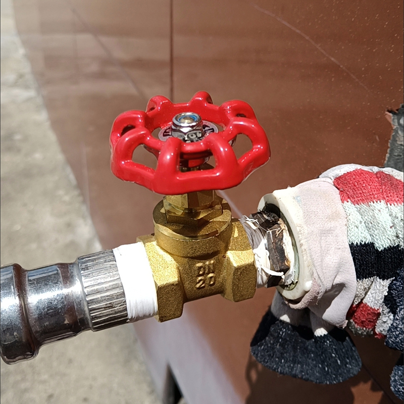 洋蝲蝲 阀门 DN20 单位:个高清大图