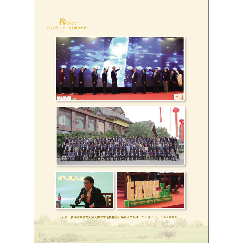 醉染图书橡胶木消费指南9787516033722高清大图