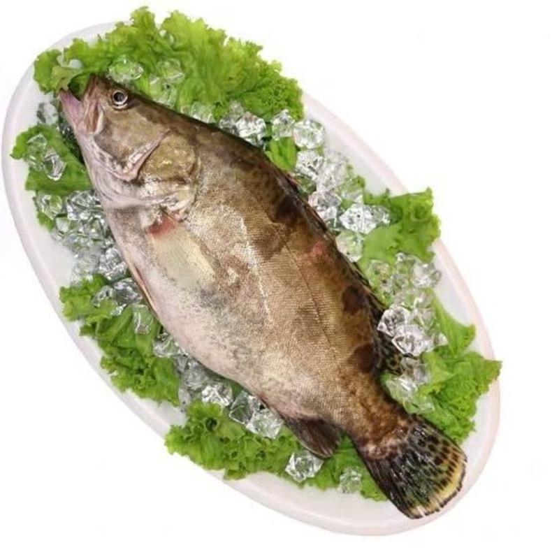 水产品即将迎来历史性突破