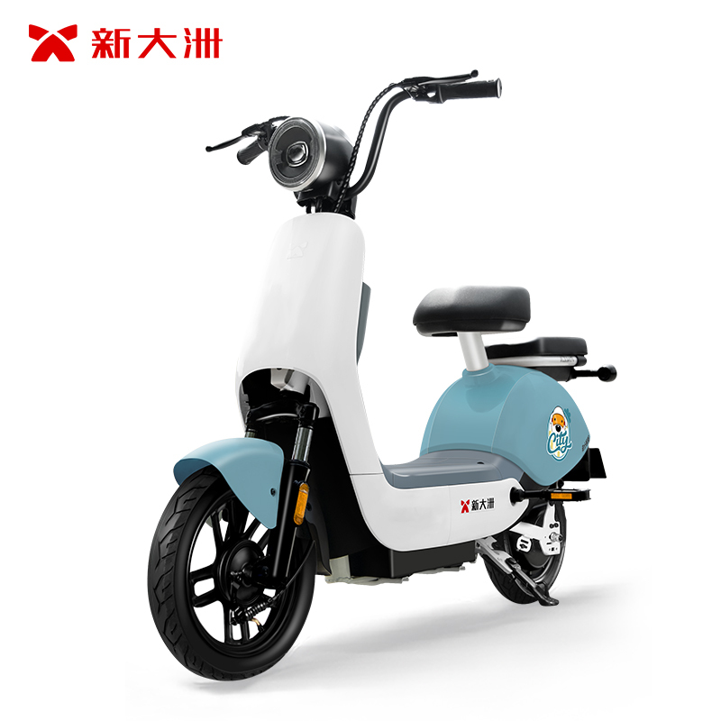 派乐/PALLA 情天 新国标48V16Ah铅酸电动自行车长续航轻骑两轮成人电动车 BABY蓝