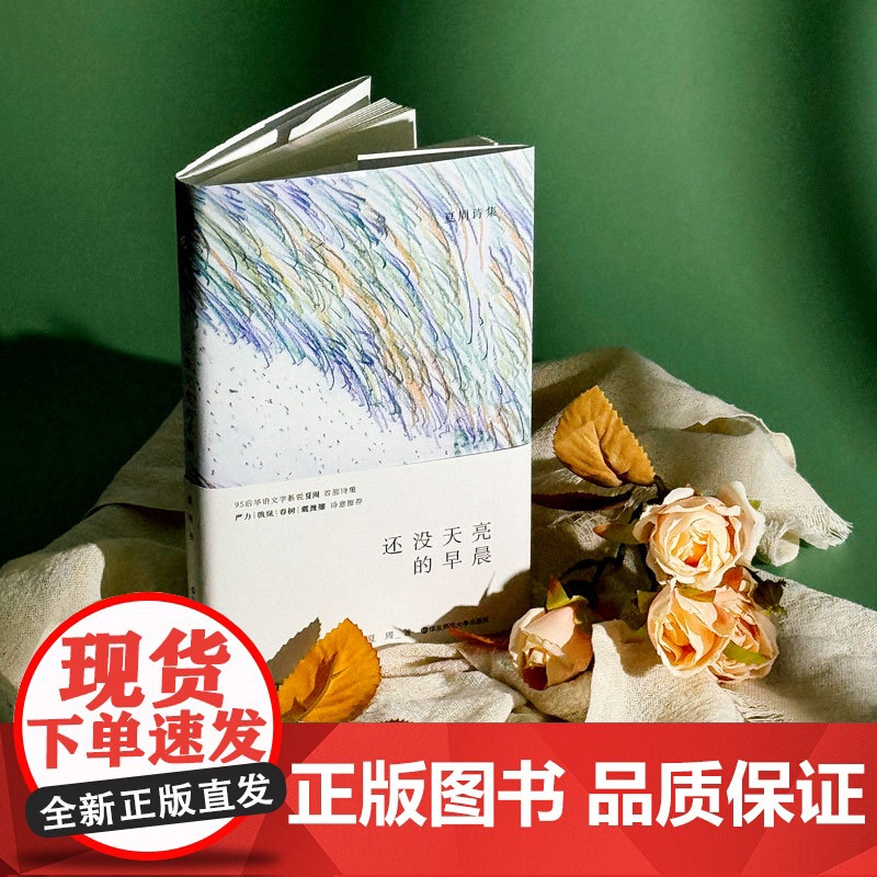 还没天亮的早晨 诗人夏周的自我发现之旅 夏周诗集 华东师范大学出版社高清大图