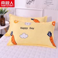 【南极人】枕头套一对装枕芯套卡通枕套学生一对单只成人48x74cm 48x74cm【枕套一对】 网红萝卜