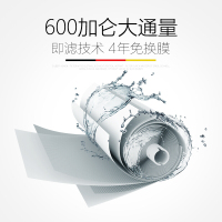 特洁恩(TEJIEN) 家用反渗透直饮双出水纯水机净水器 AF-F600