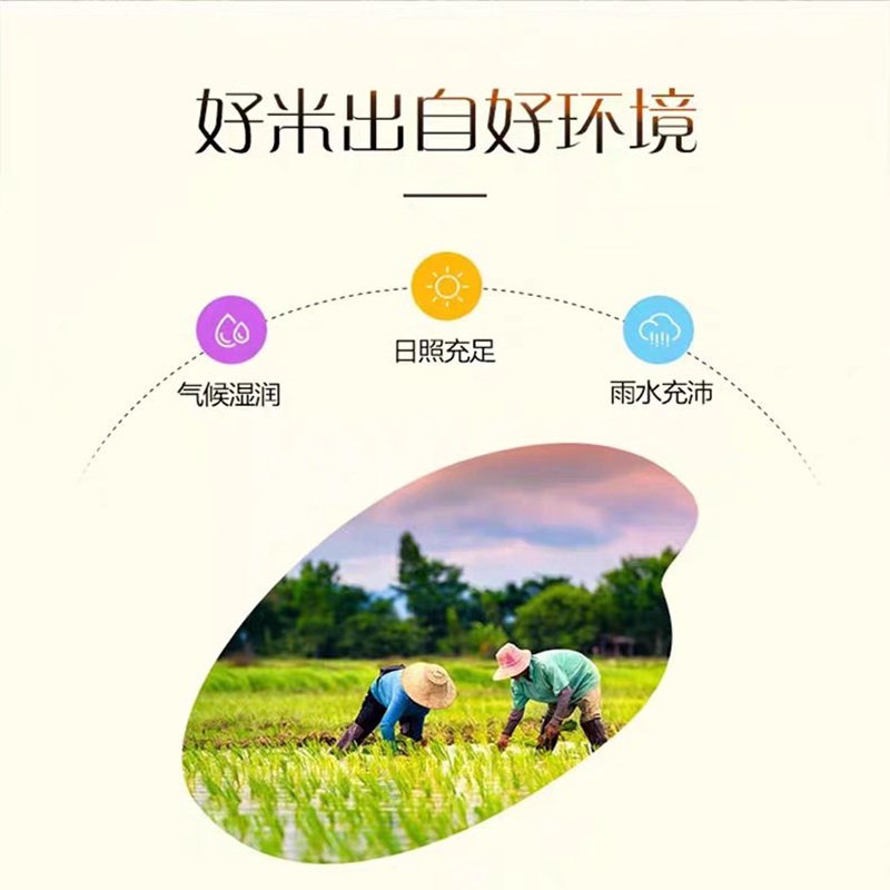 金龙鱼特选丝苗米5KG一袋高清大图