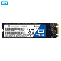 西部数据WD250G SSD固态硬盘 蓝盘 M.2接口 250GB SSD 兼容台式笔记本固态硬盘