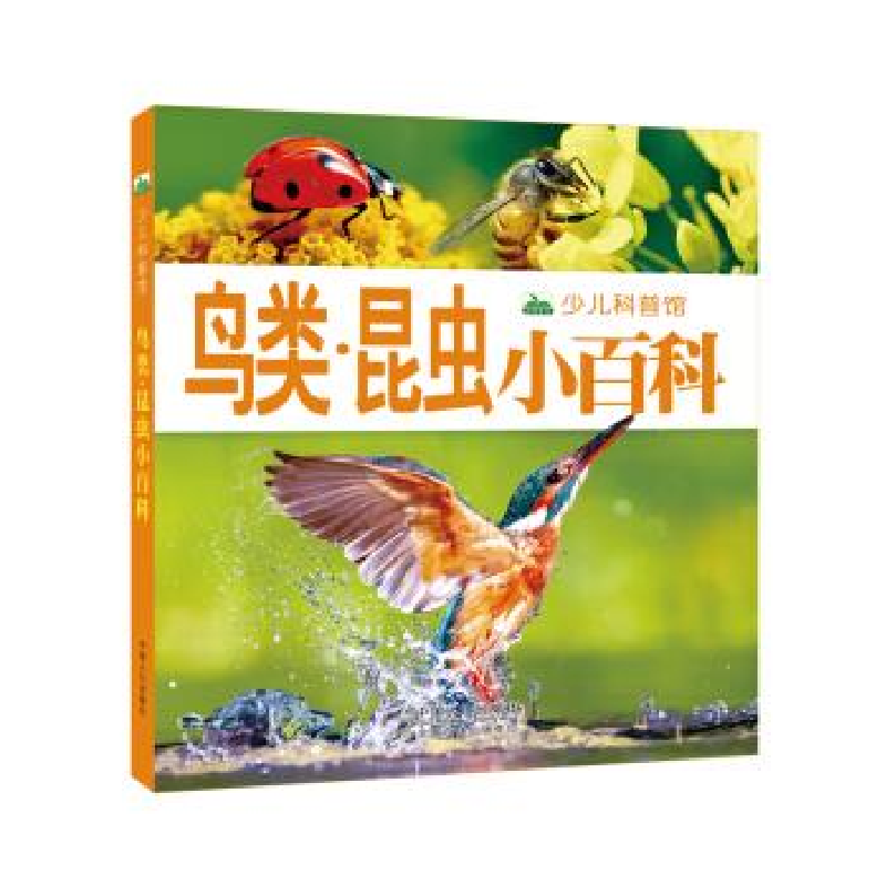 正版新书]环球国家地理百科全书(套装共10册)晨风童书97875101高清大图