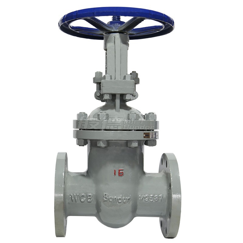 般德 法兰式铸钢闸阀高清大图