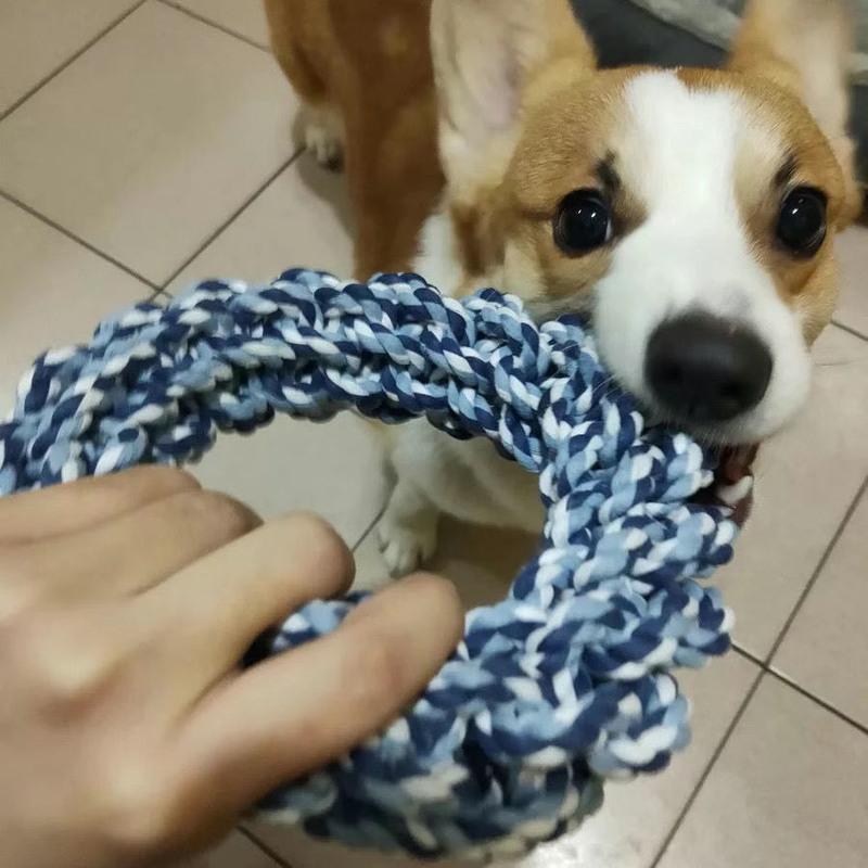 玩具狗咬绳金毛拉布拉多大狗玩具磨牙咬绳一个(中大犬)30cm>800_800