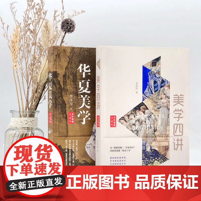 美学四讲 全彩插图珍藏版 李泽厚 著 美学社科 正版图书籍 长江文艺出版社高清大图