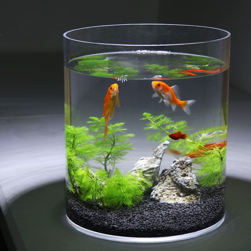 鱼缸水族箱圆柱