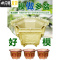 三维工匠水泥花盆模具盆欧式六角盆景加厚模型混泥土制作盆栽现浇磨具自制 60#六角福字款 卡扣+破损免费补寄花盆容器