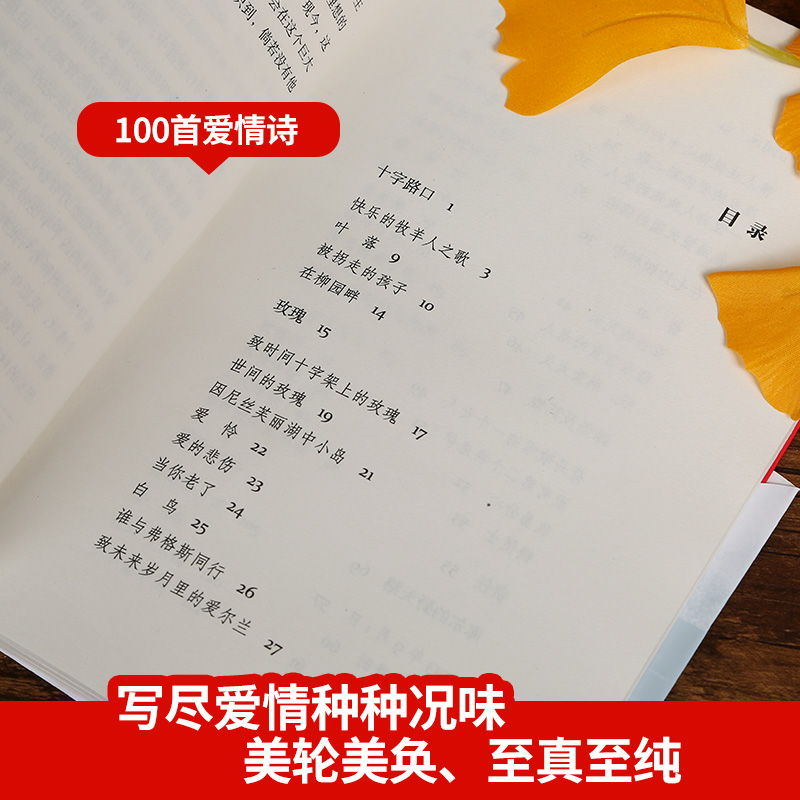 [正版]诺贝尔文学奖作品当你老了 叶芝诗集书籍现代诗歌名家精选集 外国诗歌散文书籍 书 唯美文学经典排行榜散文诗集高清大图