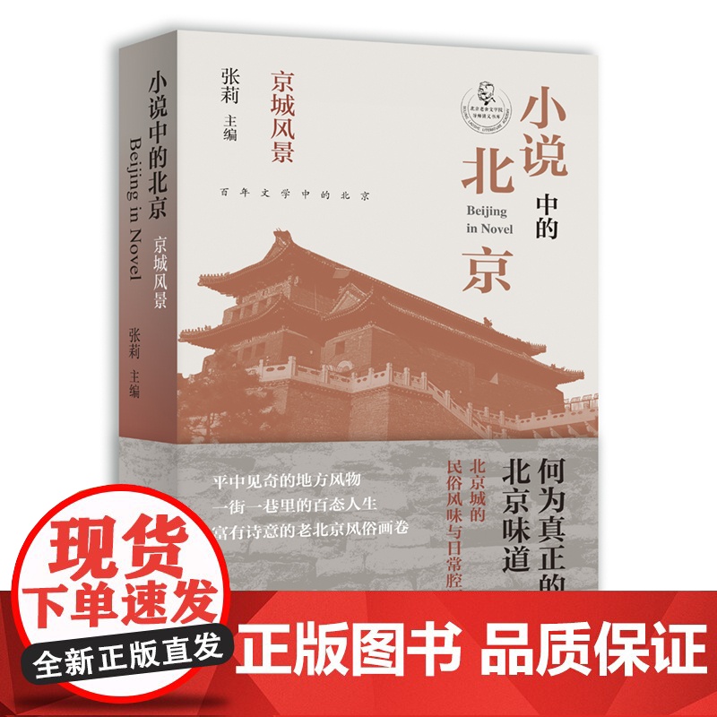 小说中的北京 京城风景(张莉教授主编,北京城的民俗风味与日常腔调,小说中的老北京民俗画卷) 张莉 主编 北京十高清大图