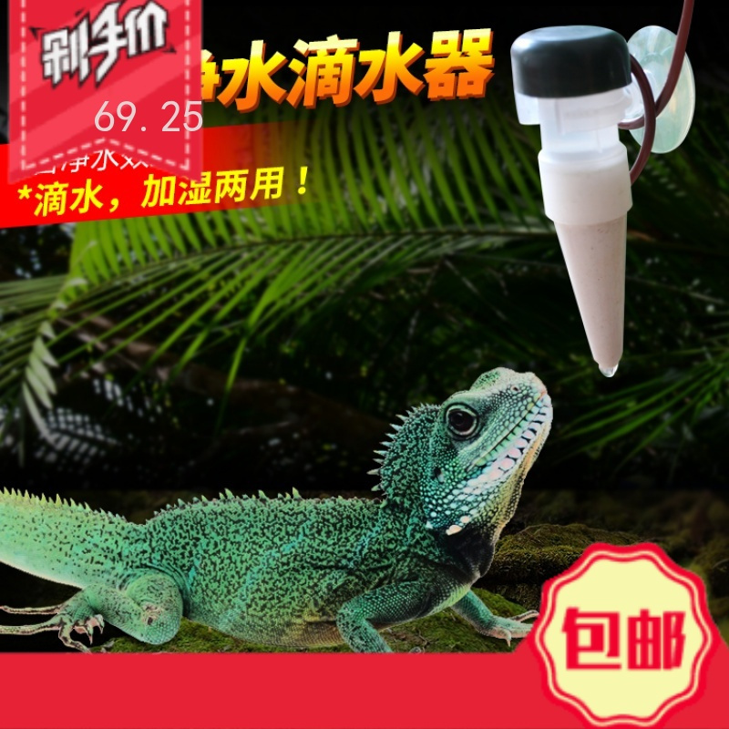 Do Dower宠物日用宝龙蜥蜴变色龙自动饮水器净水爬虫滴水器陆龟箱加湿器自动浇花器 价格图片品牌报价 苏宁易购若裳宠物用品专营店