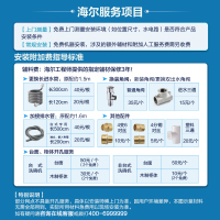 基础款海尔(Haier)13套家用独立式洗碗机H20 80℃高温微蒸汽消毒除菌 全自动智能刷碗机EW13918BK