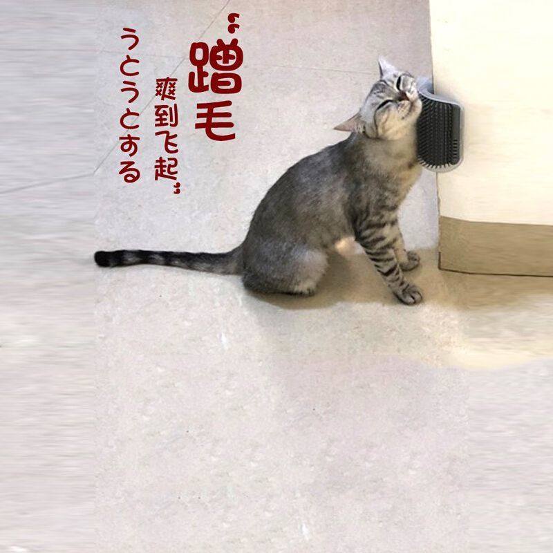 猫蹭痒器猫咪墙角抓痒蹭毛器猫刷挠痒痒器蹭脸器 加长款 粉色