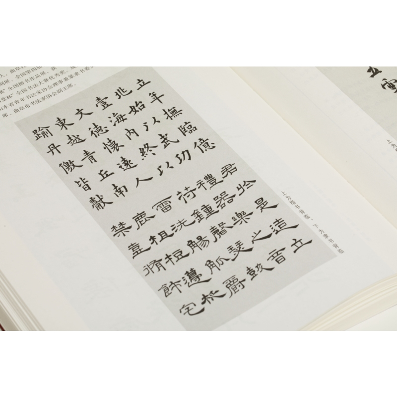 醉染图书为艺术战 书法高考考生作品评析9787547925645高清大图