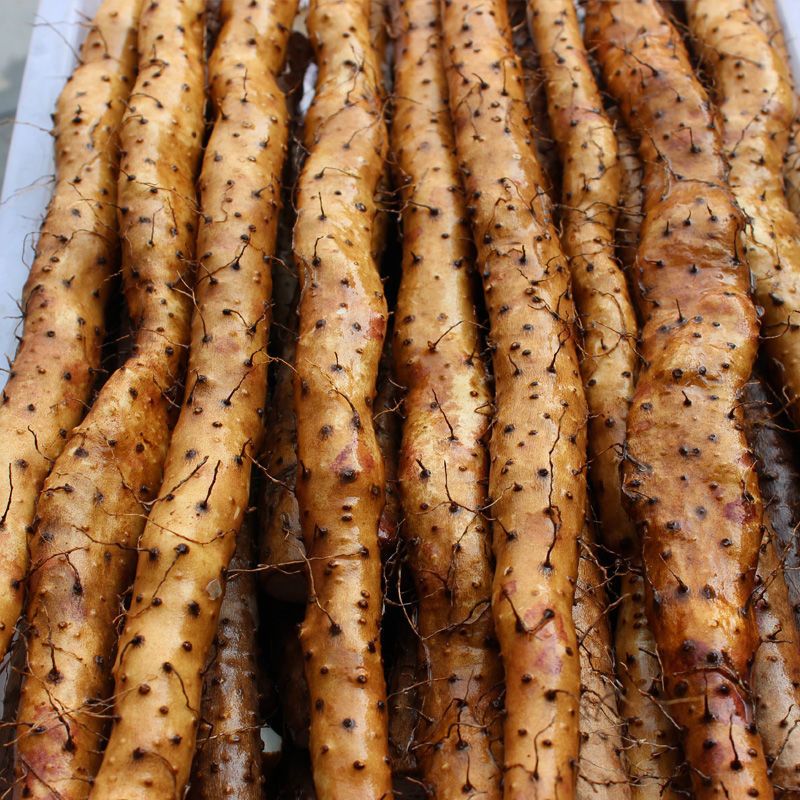 赛卡伊 正宗新鲜温县垆土铁棍山药河南焦作怀山药淮山约铁杆铁棒特产