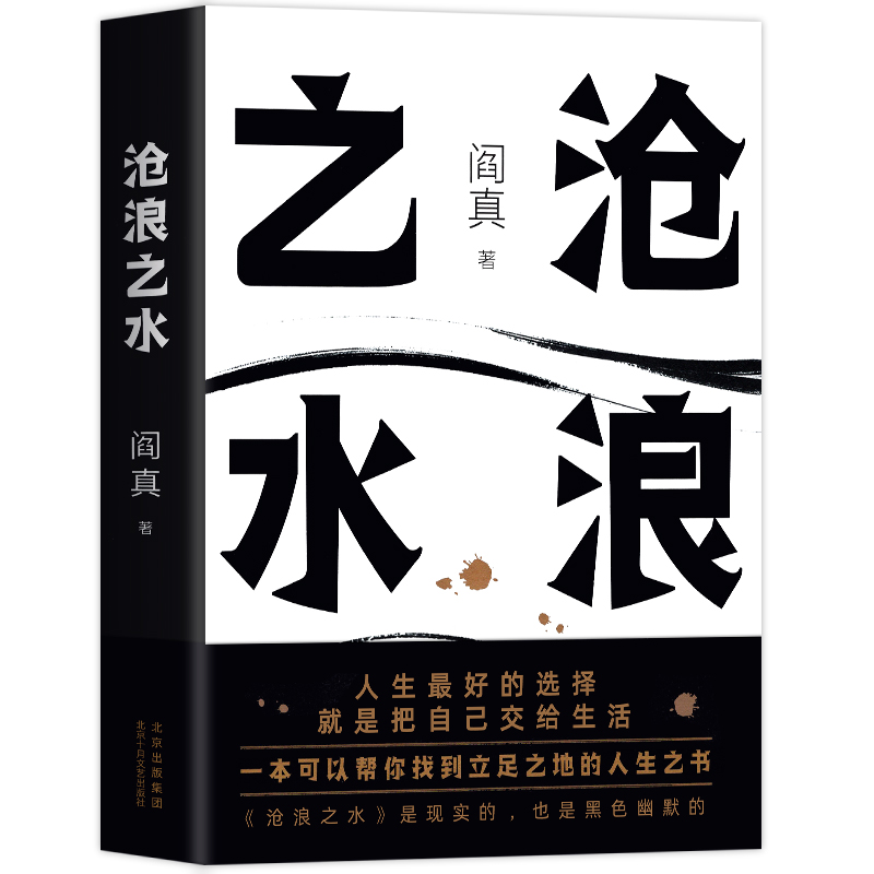 [醉染正版]阎真:沧浪之水 职场小白考公人的启蒙之书籍 经典当代爱情小说 官场小说 同名高分国剧岁月原著 入围茅盾文学奖高清大图
